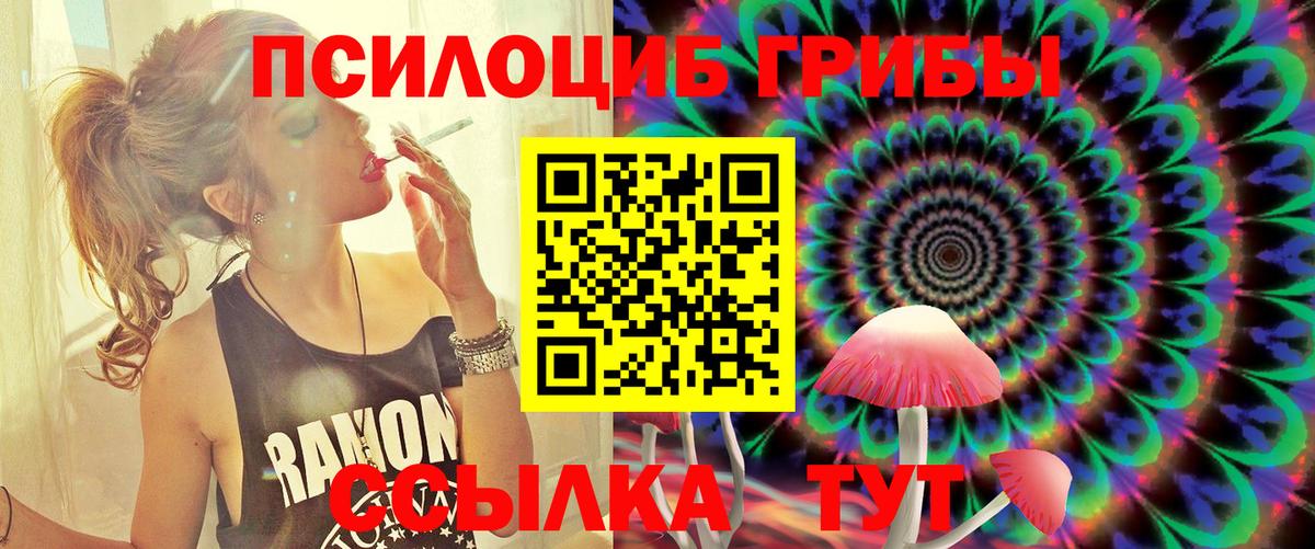 Тихорецк  Галлюциногенные грибы прущие грибы  Вход с VPN 