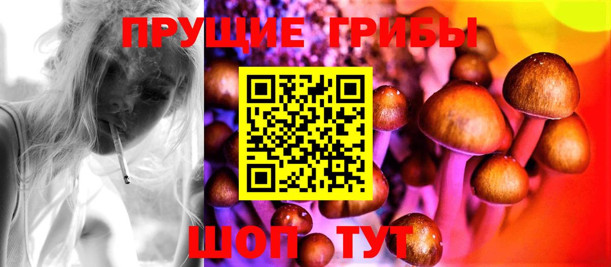 Галлюциногенные грибы Cubensis Тихорецк